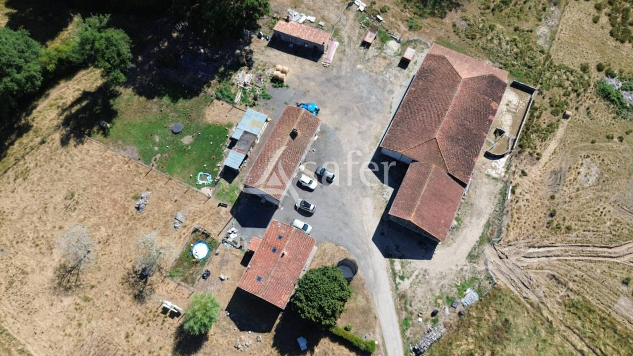 Explotaci&oacute;n ovina En venta Charente