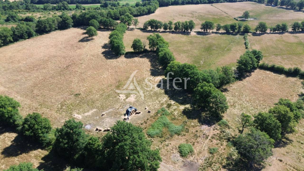 Explotaci&oacute;n ovina En venta Charente