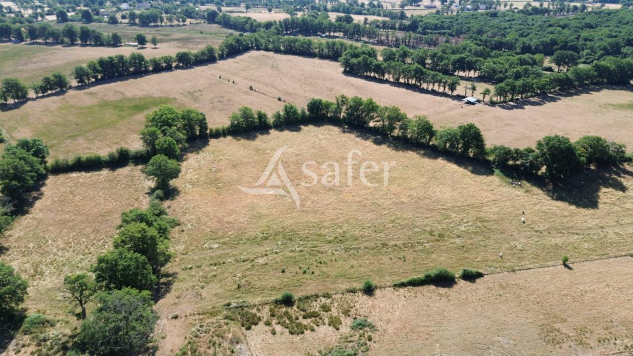 Explotaci&oacute;n ovina En venta Charente