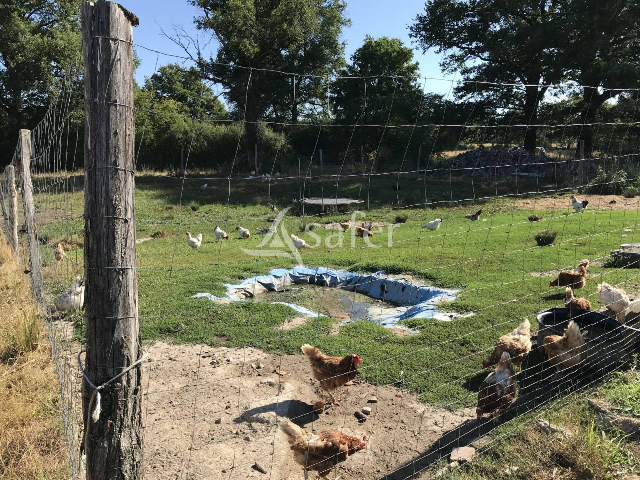 Explotaci&oacute;n ovina En venta Charente