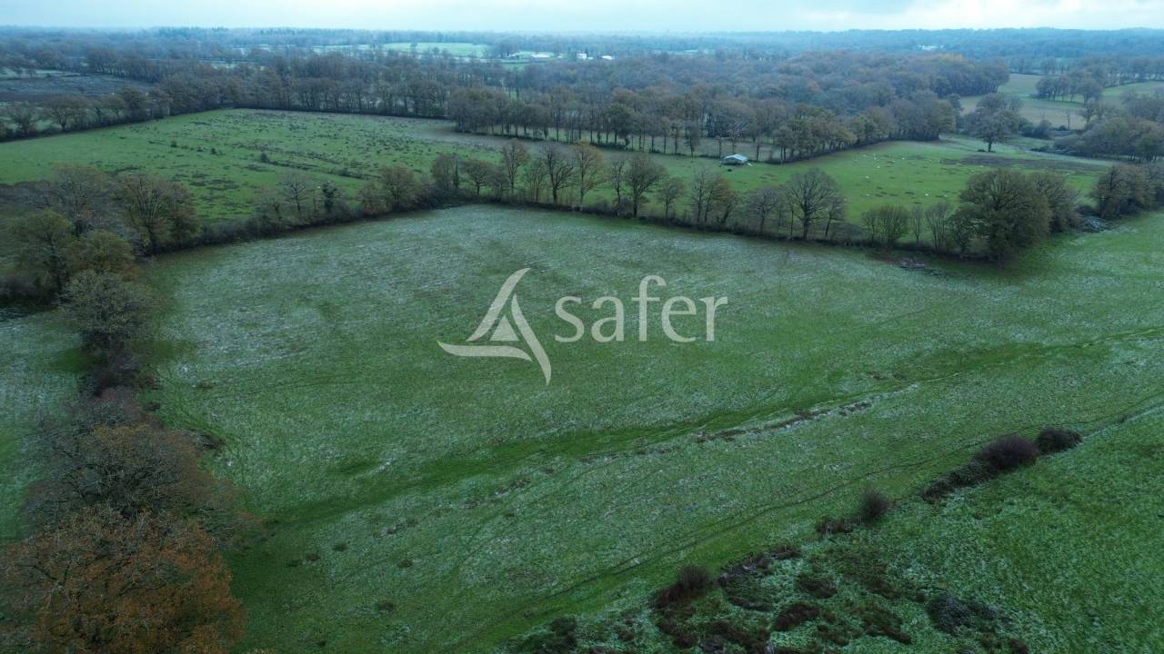 Explotaci&oacute;n ovina En venta Charente