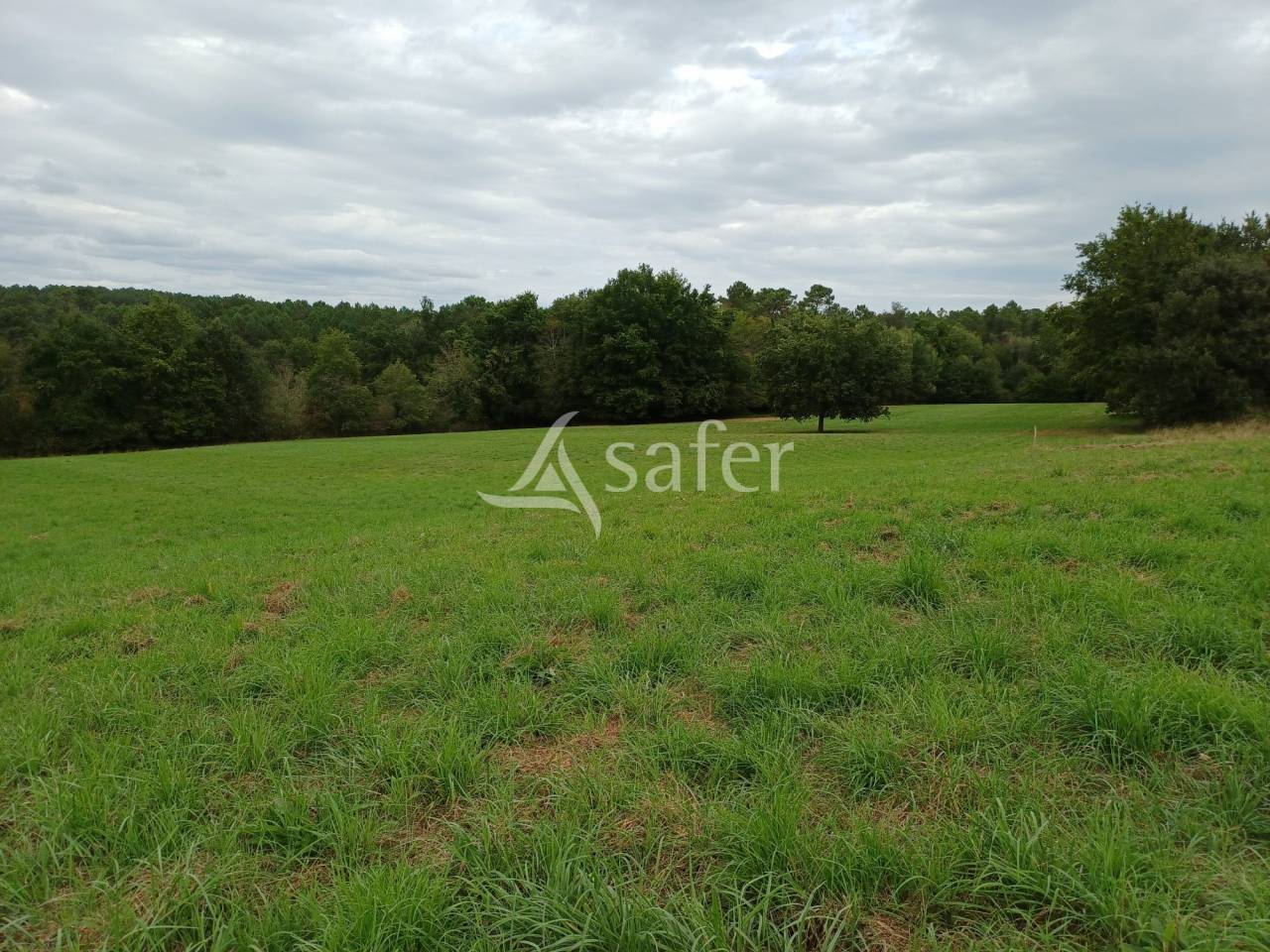 Propiedad ecuestre En venta Dordoña