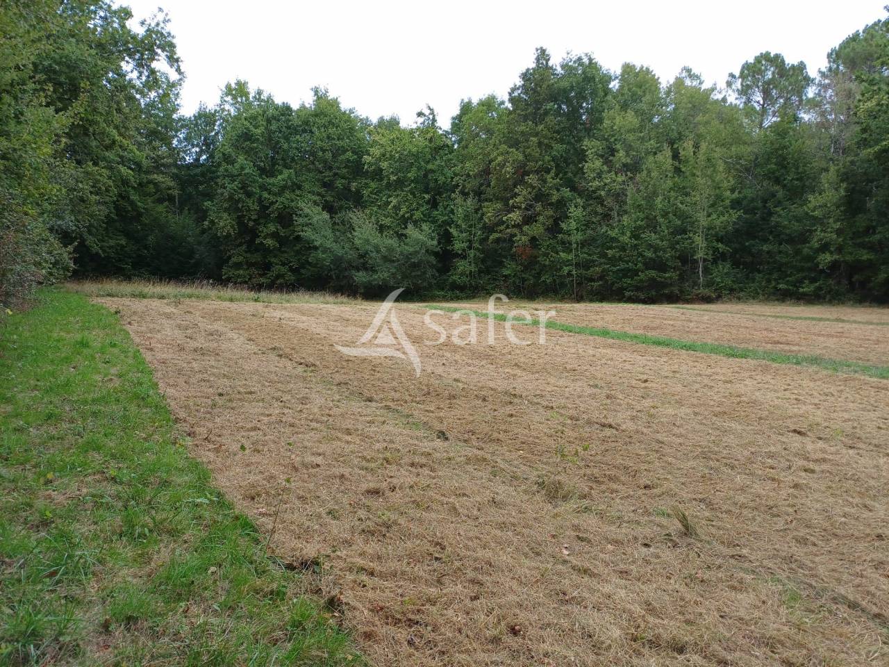 Propiedad ecuestre En venta Dordoña