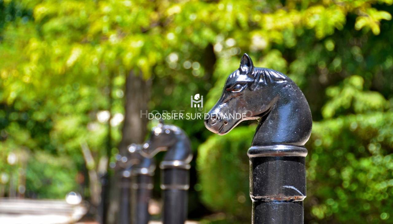 Propiedad ecuestre En venta Loira Atlántico