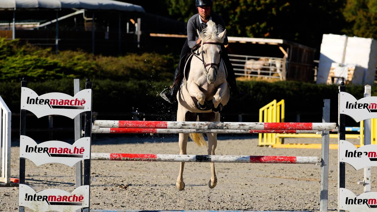 Yegua Caballo de Deporte Irlandés En venta 2018 Palomino por Tullabeg Fusion