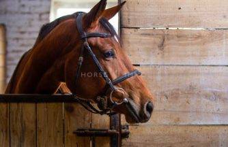 Propiedad ecuestre En venta Bocas del Ródano