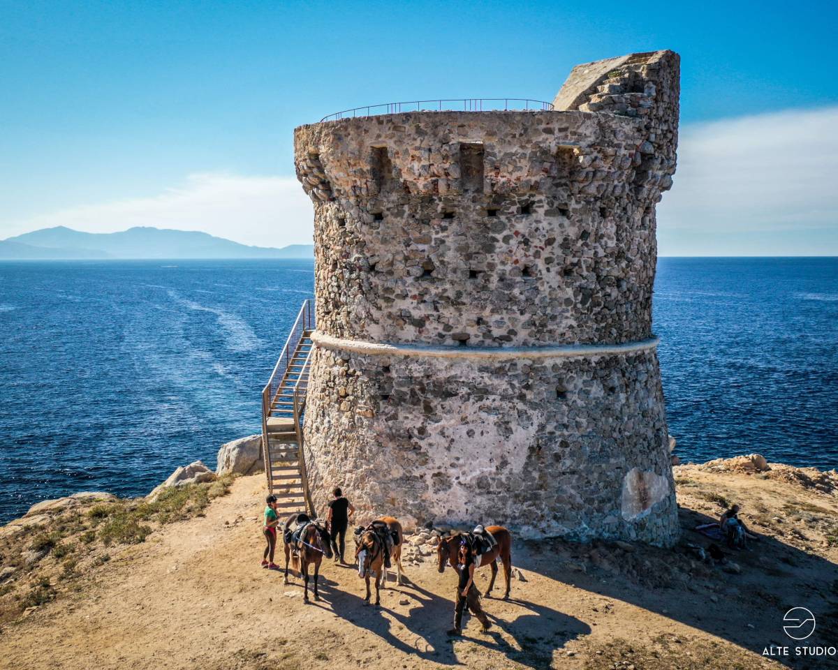 ATE (Acompañante de Turismo Ecuestre) - Contrato temporal Tiempo completo - Córcega del Sur Francia