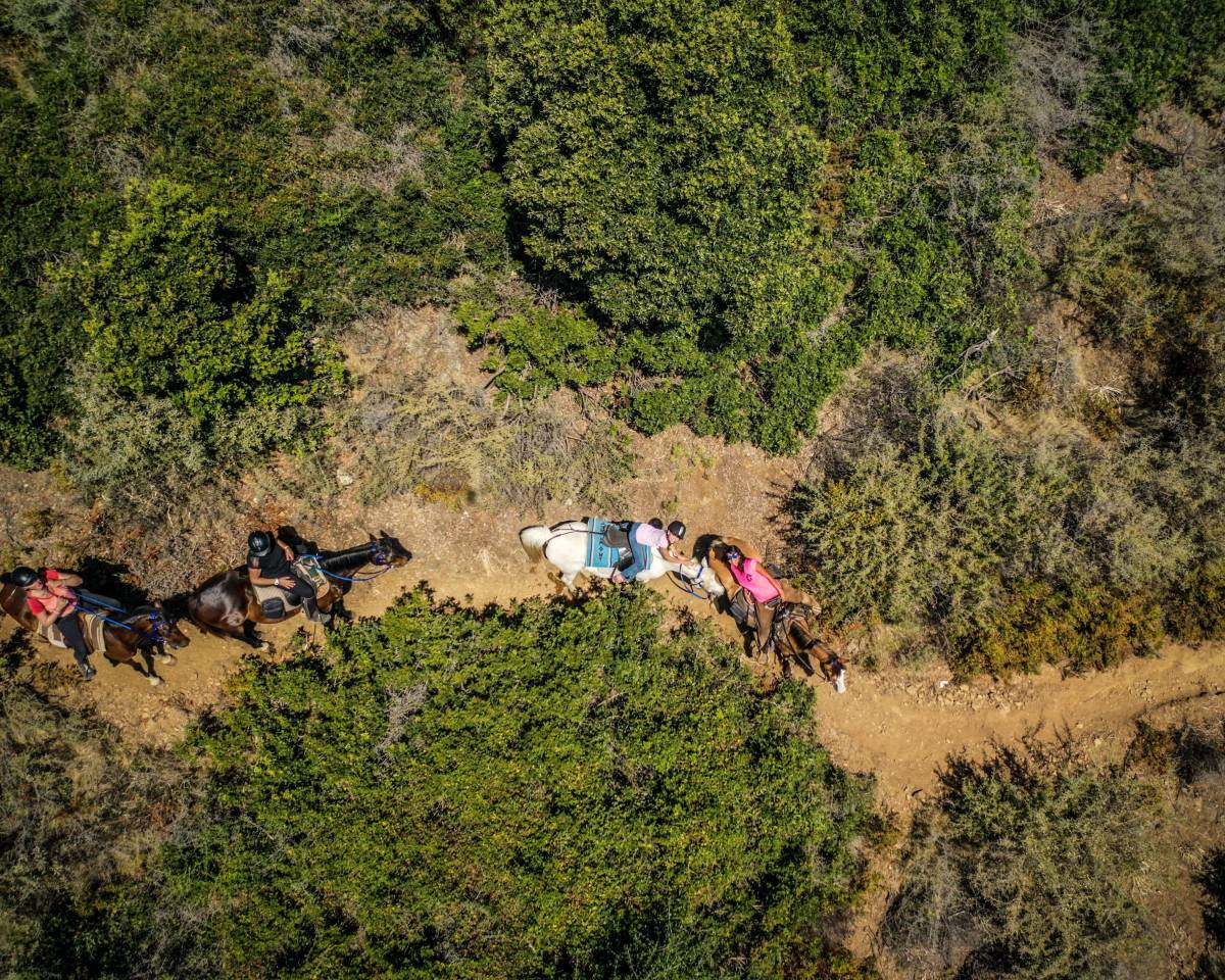 ATE (Acompañante de Turismo Ecuestre) - Contrato temporal Tiempo completo - Córcega del Sur Francia