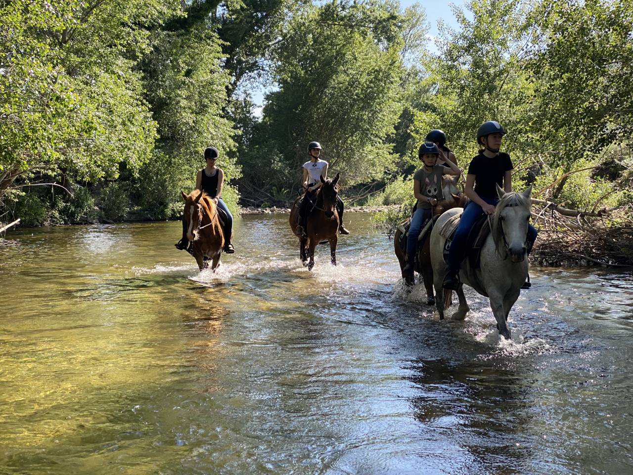 ATE (Acompañante de Turismo Ecuestre) - Contrato temporal Tiempo completo - Córcega del Sur Francia