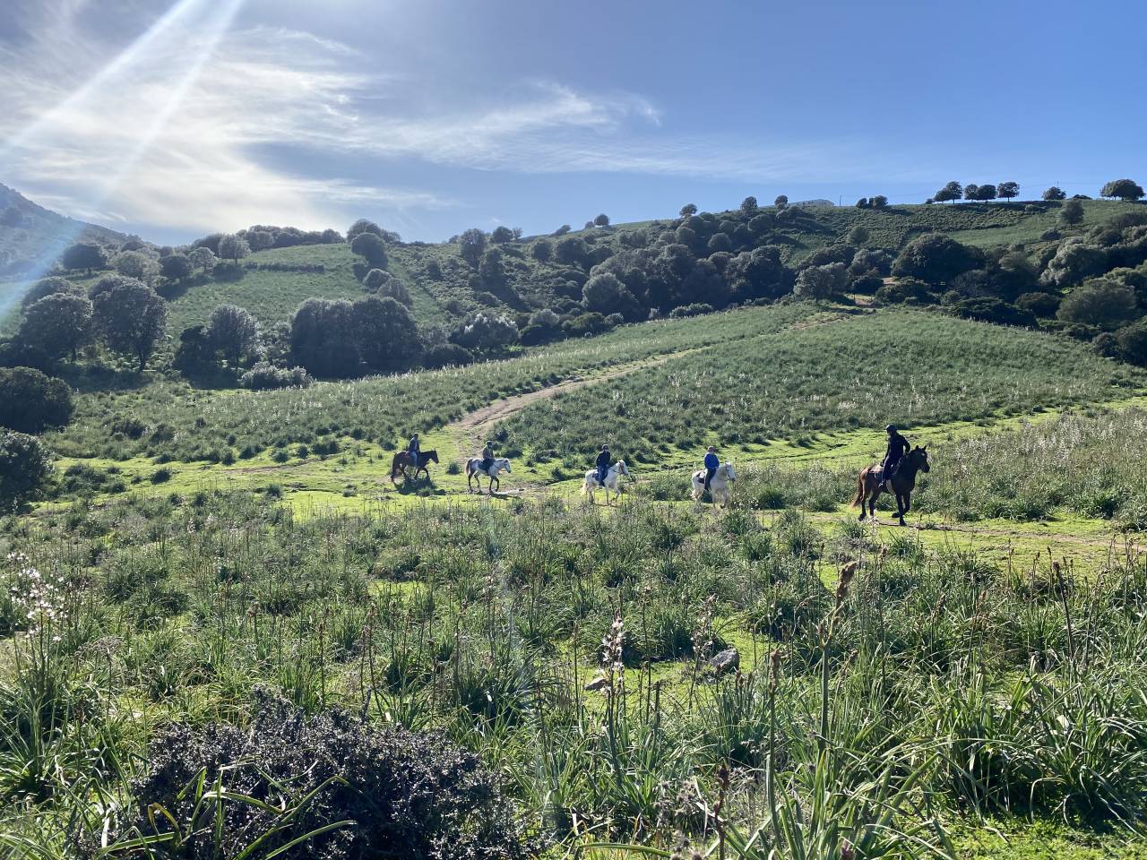 ATE (Acompañante de Turismo Ecuestre) - Contrato temporal Tiempo completo - Córcega del Sur Francia