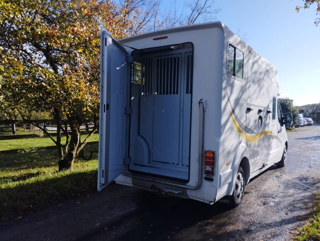 Furgoneta para caballos Renault MASTER 150 2014 De segunda mano