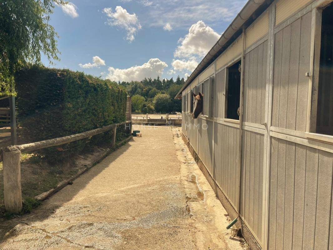 Centro ecuestre En venta Yvelines