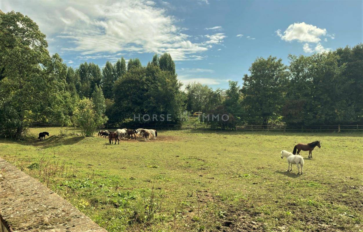 Centro ecuestre En venta Yvelines