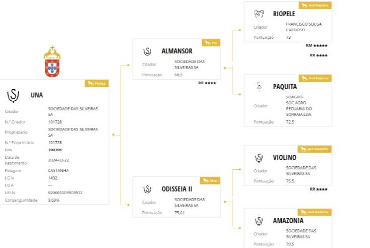 Potranca Lusitano En venta 2024 Tordo por Almansor SS