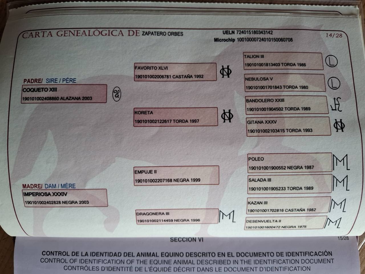 Caballo castrado PRE Pura Raza Española En venta 2018 Negro por coqueto