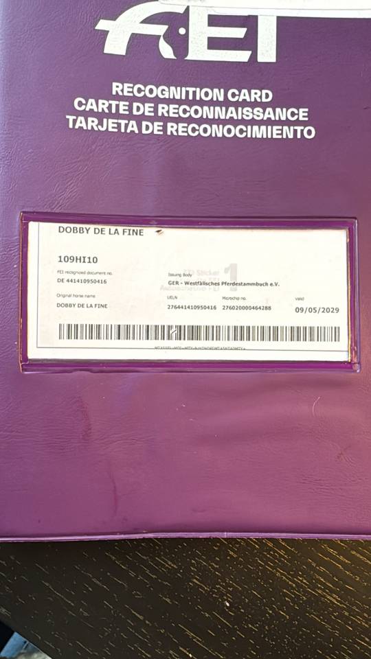 Caballo castrado Hannoveriano En venta 2016 Bayo moreno