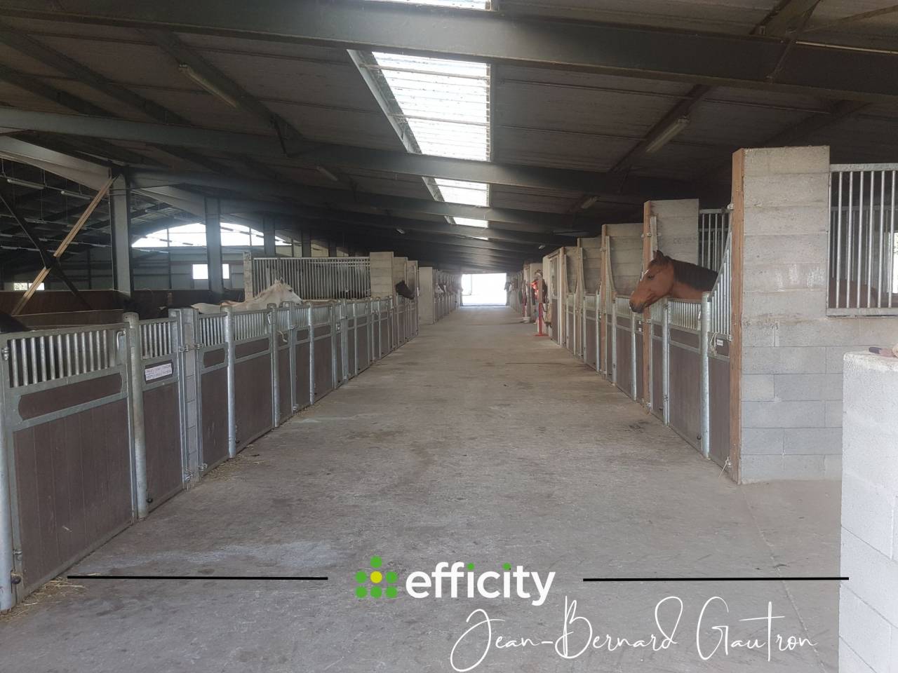 Poniclub En venta Loira Atlántico