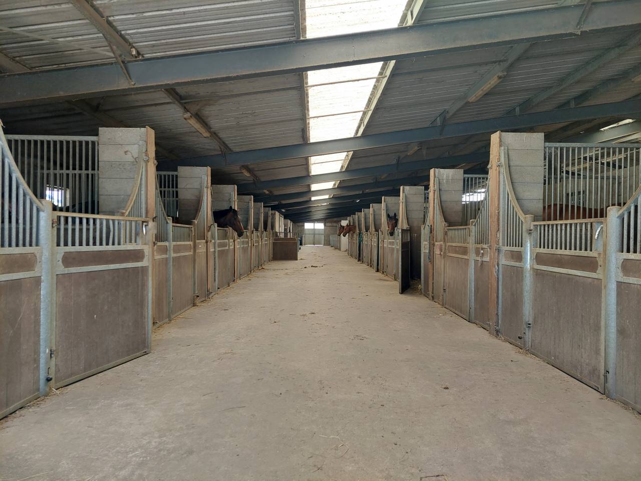 Poniclub En venta Loira Atlántico