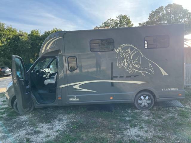 Furgoneta para caballos Trans Box RM08 2018 De segunda mano