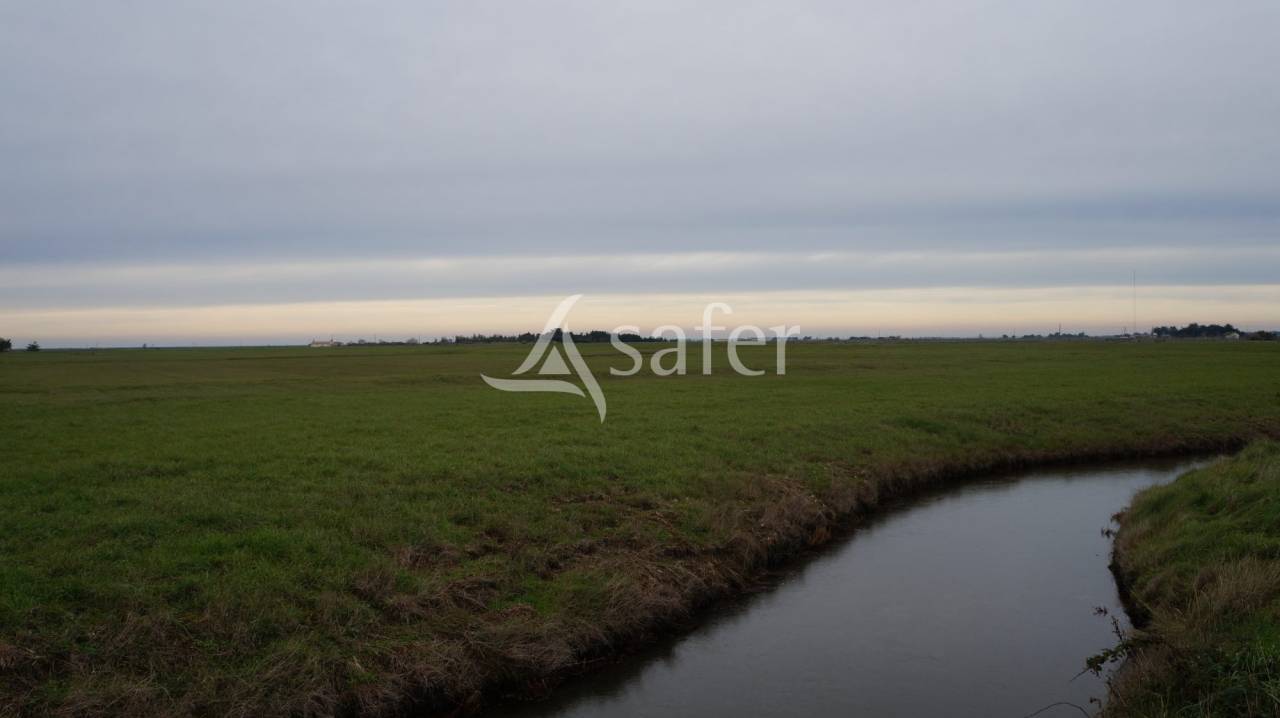 Propiedad ecuestre En venta Vendée