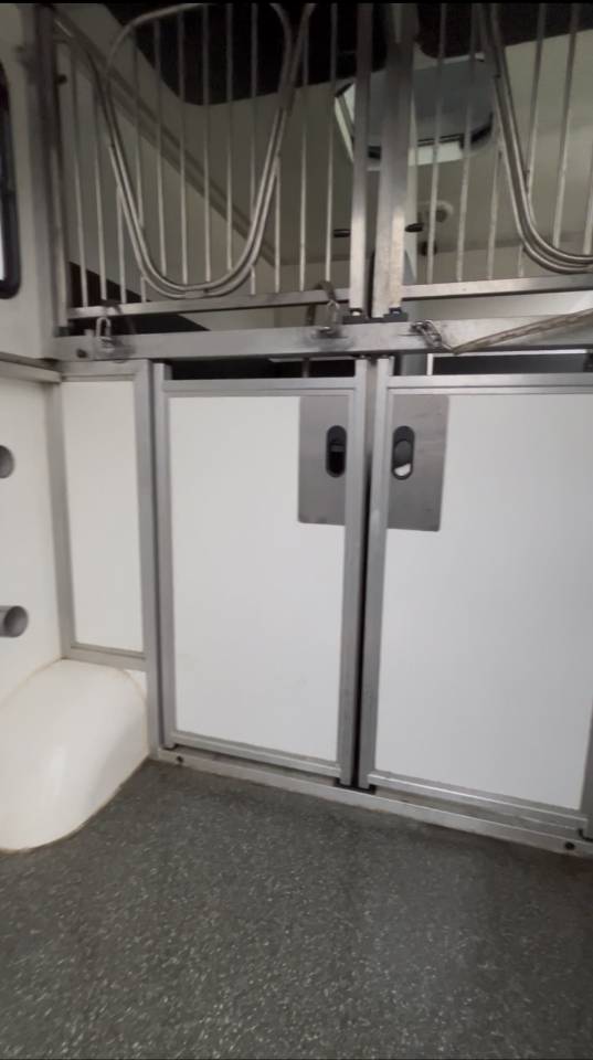 Furgoneta para caballos Renault DCI 180 2021 De segunda mano