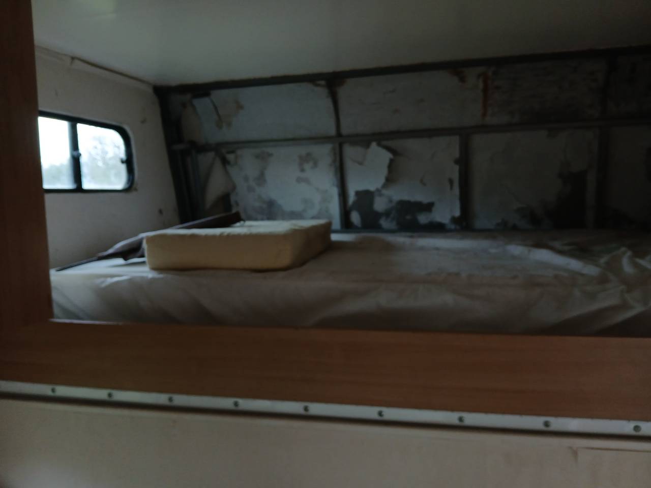 Camión para caballos Renault  1996 De segunda mano