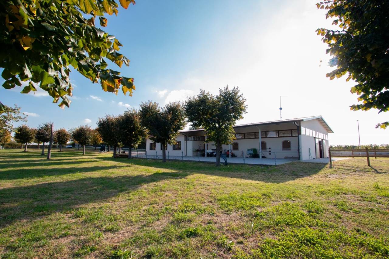 Granja ecuestre En venta Verona