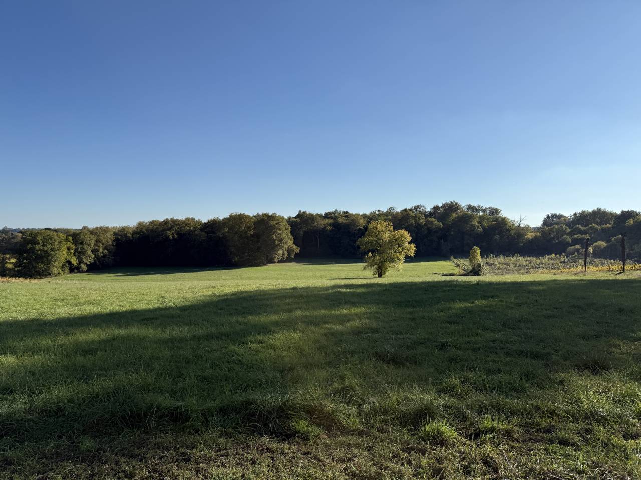 Propiedad rural En venta Gironda