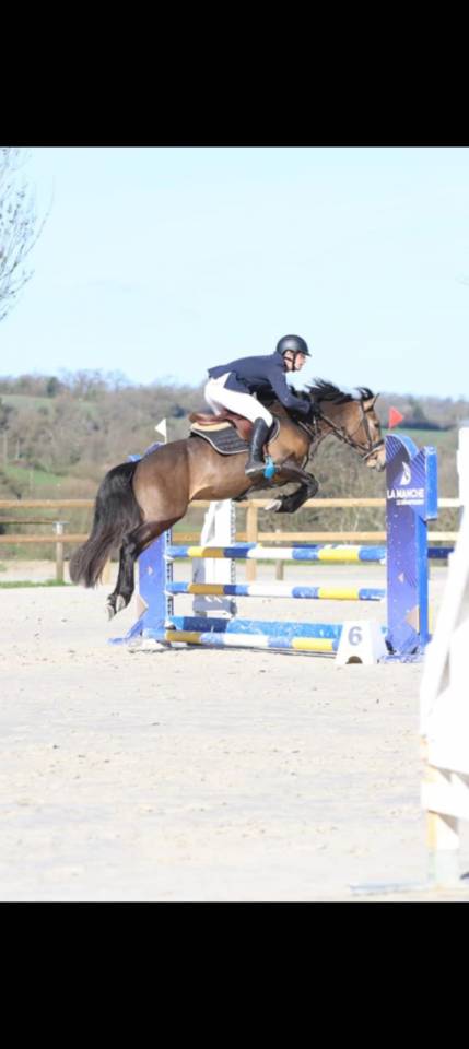 L'ancelot du ménage  - New Forest 2021 por SILVERLEA SIMPLY RED