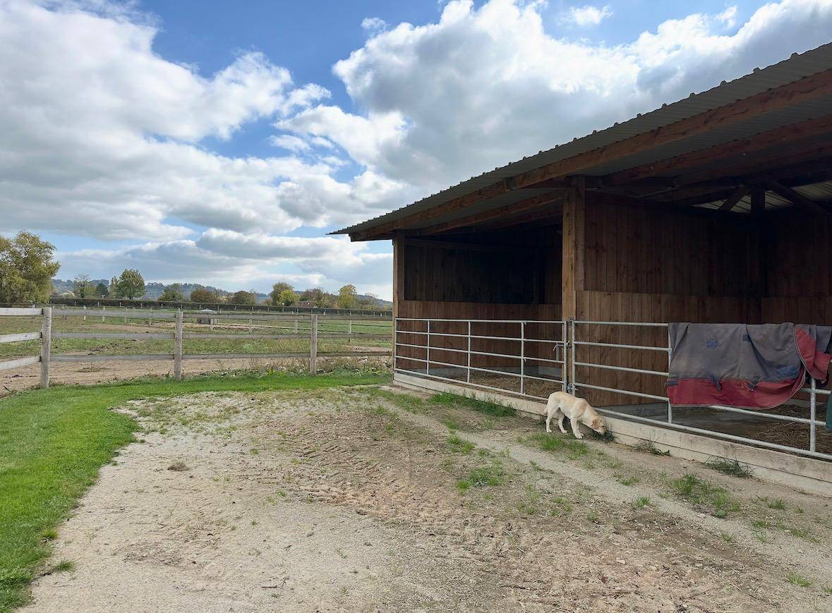 Cuadra de propietarios En venta Calvados