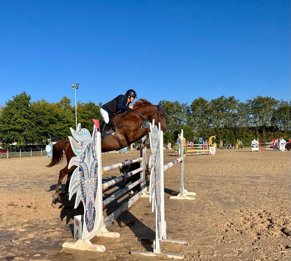 Yegua Silla Francés En venta 2016 Alazán por CHACCO ROUGE