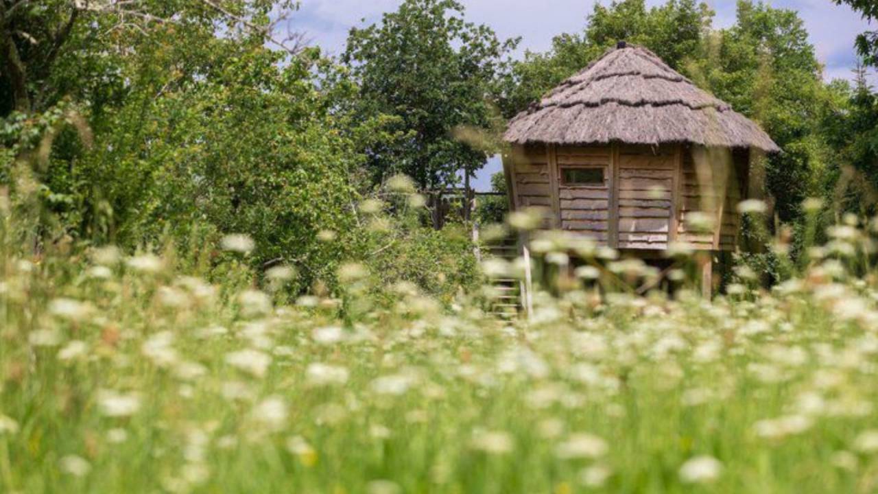 Propiedad ecuestre En venta Gers