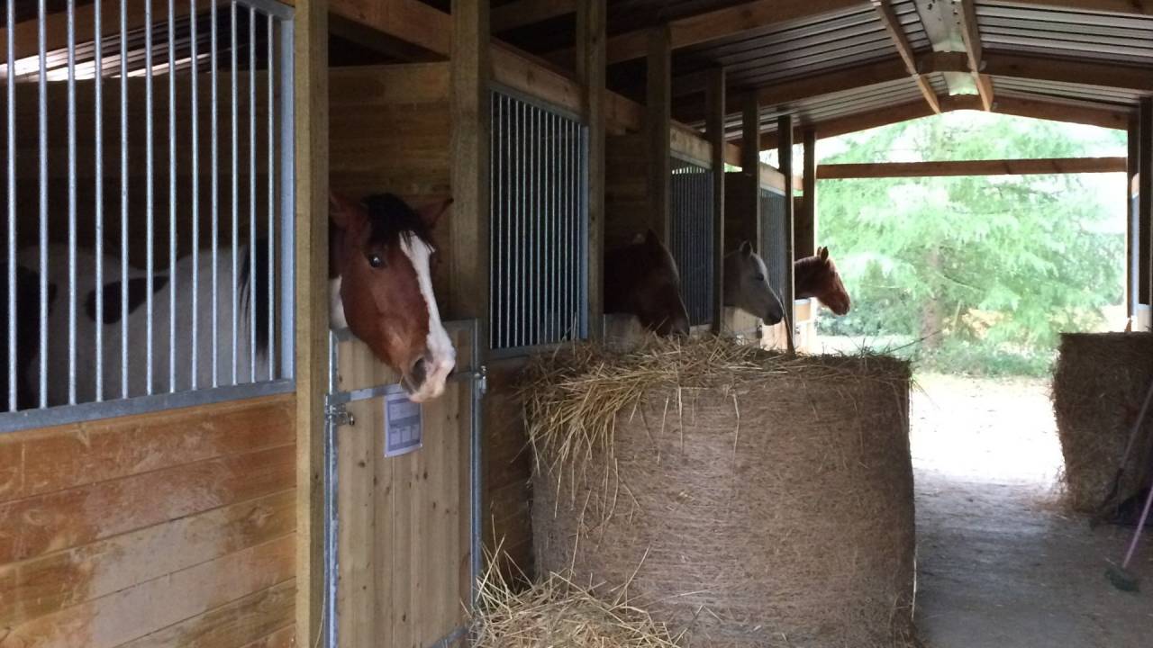 Propiedad ecuestre En venta Gers