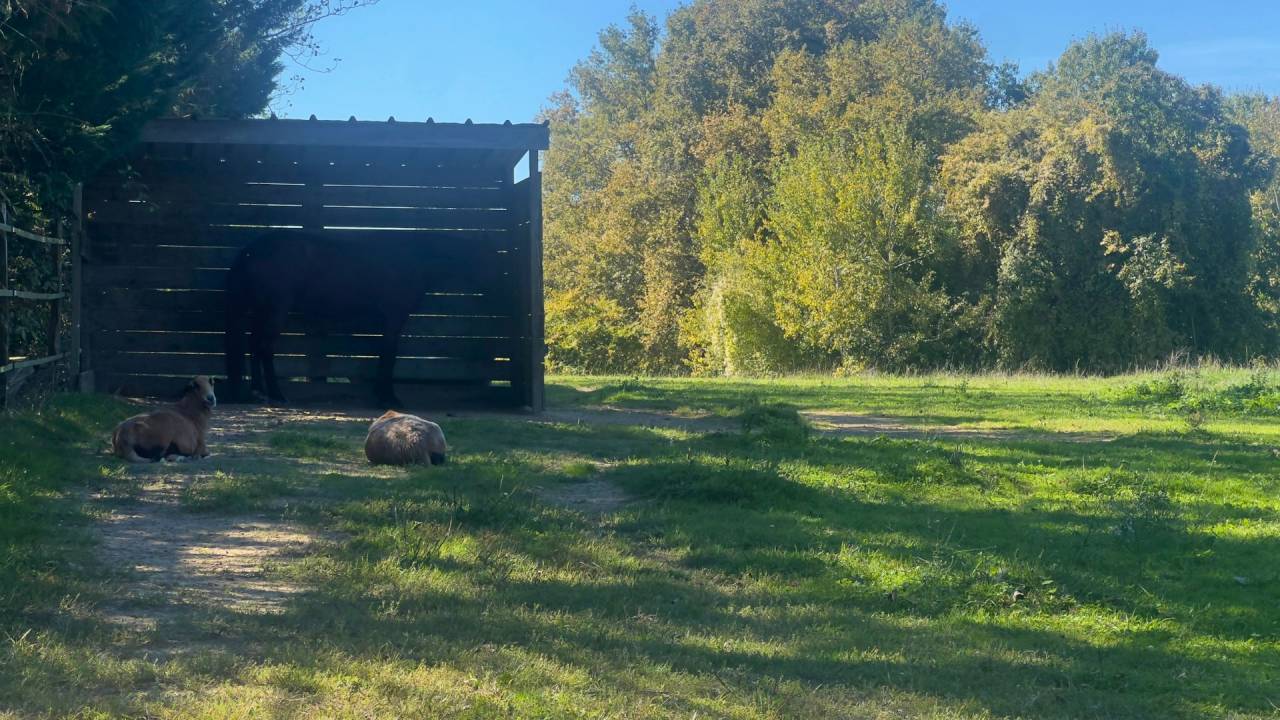 Propiedad ecuestre En venta Gers