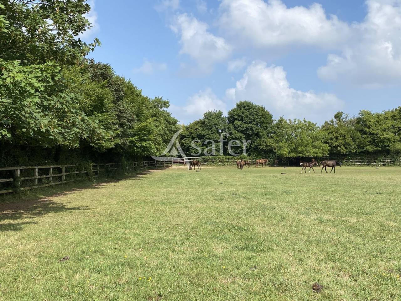 Explotación agrícola En venta Orne