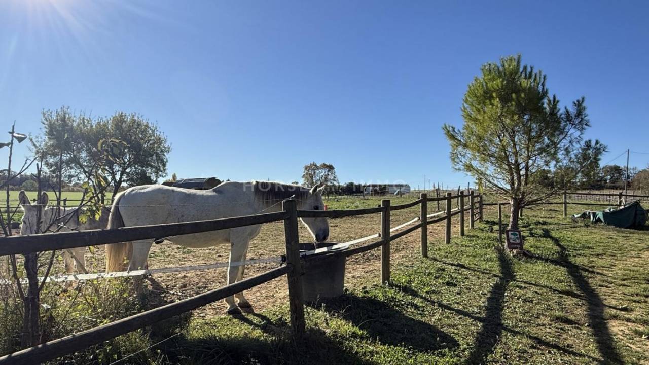 Propiedad ecuestre En venta Gard