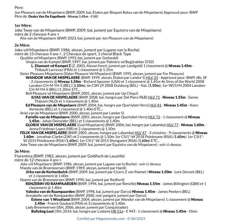 Yegua BWP Caballo de Sangre Belga En venta 2023 Bayo por JON PLEASURE VAN DE MISPELAERE