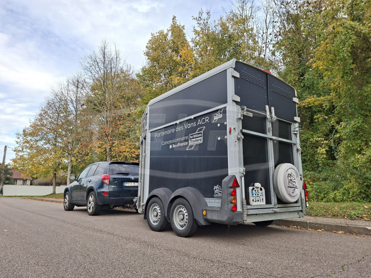 Van caballos Ifor Williams HB 511 OBLIQUE PP 2 Caballos 2017 De segunda mano