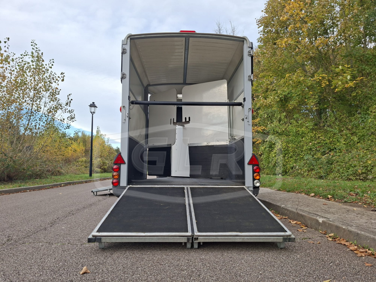 Van caballos Ifor Williams HB 511 OBLIQUE PP 2 Caballos 2017 De segunda mano