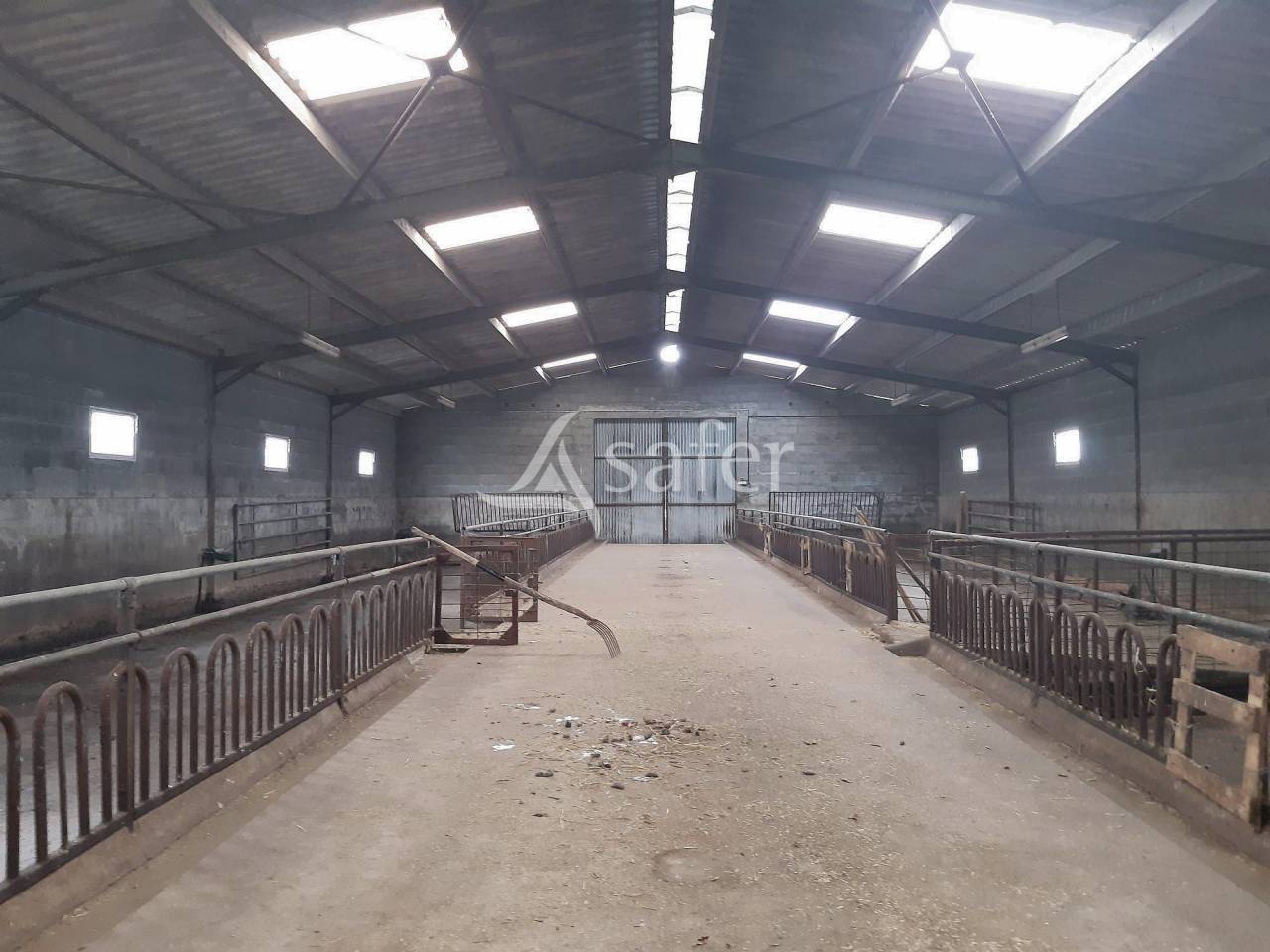 Explotación ovina En venta Deux-Sèvres