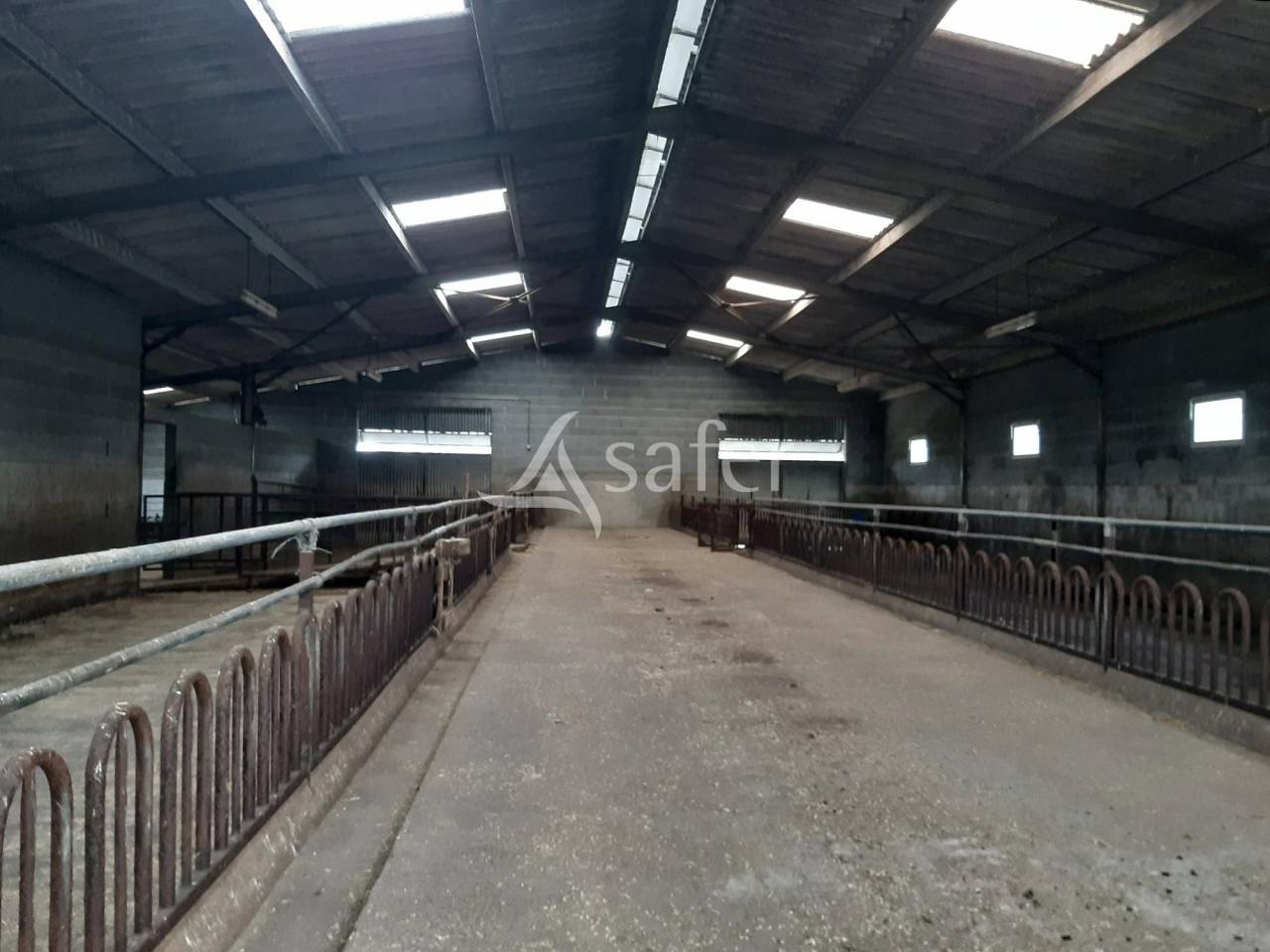 Explotación ovina En venta Deux-Sèvres