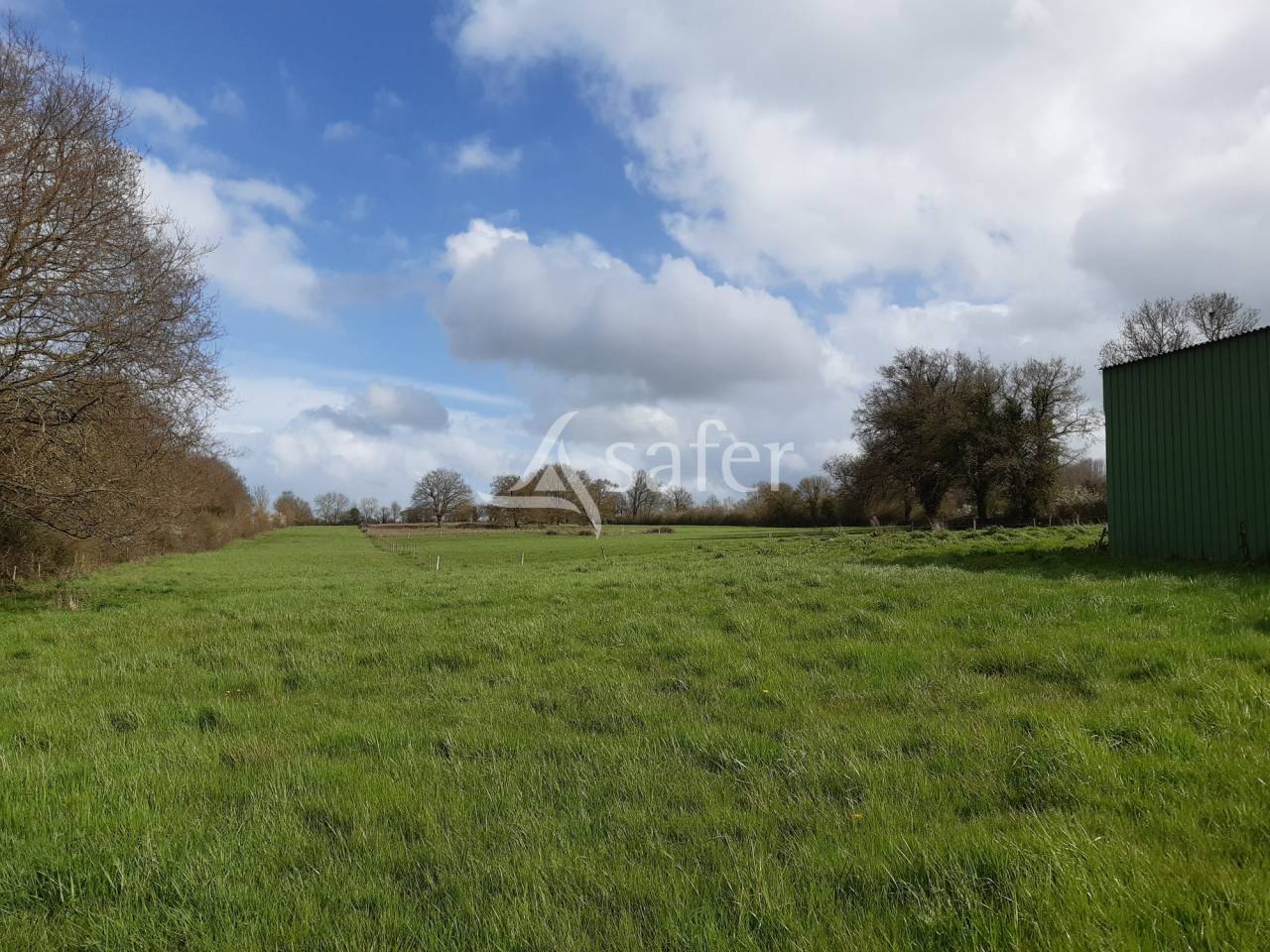 Explotación ovina En venta Deux-Sèvres