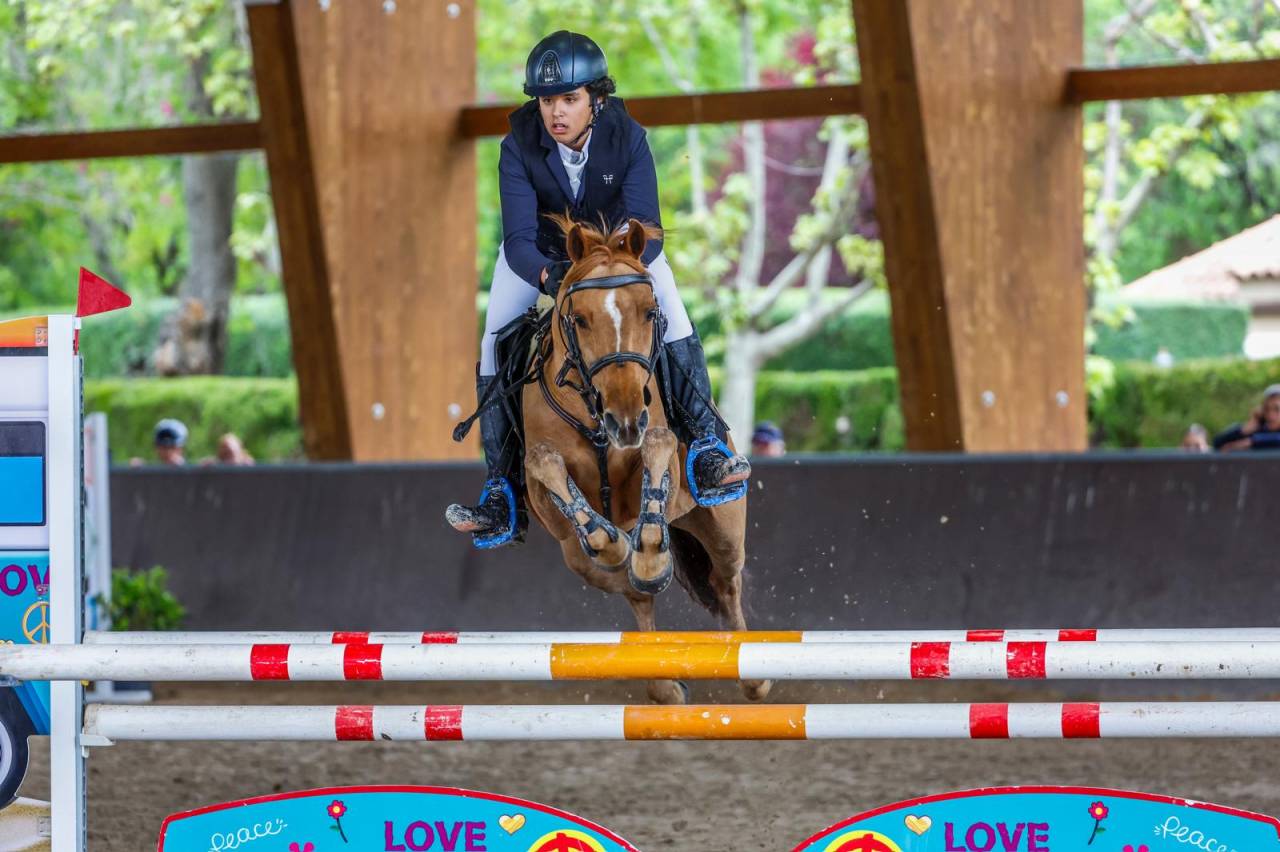 Poni C Douanier Du Buhot