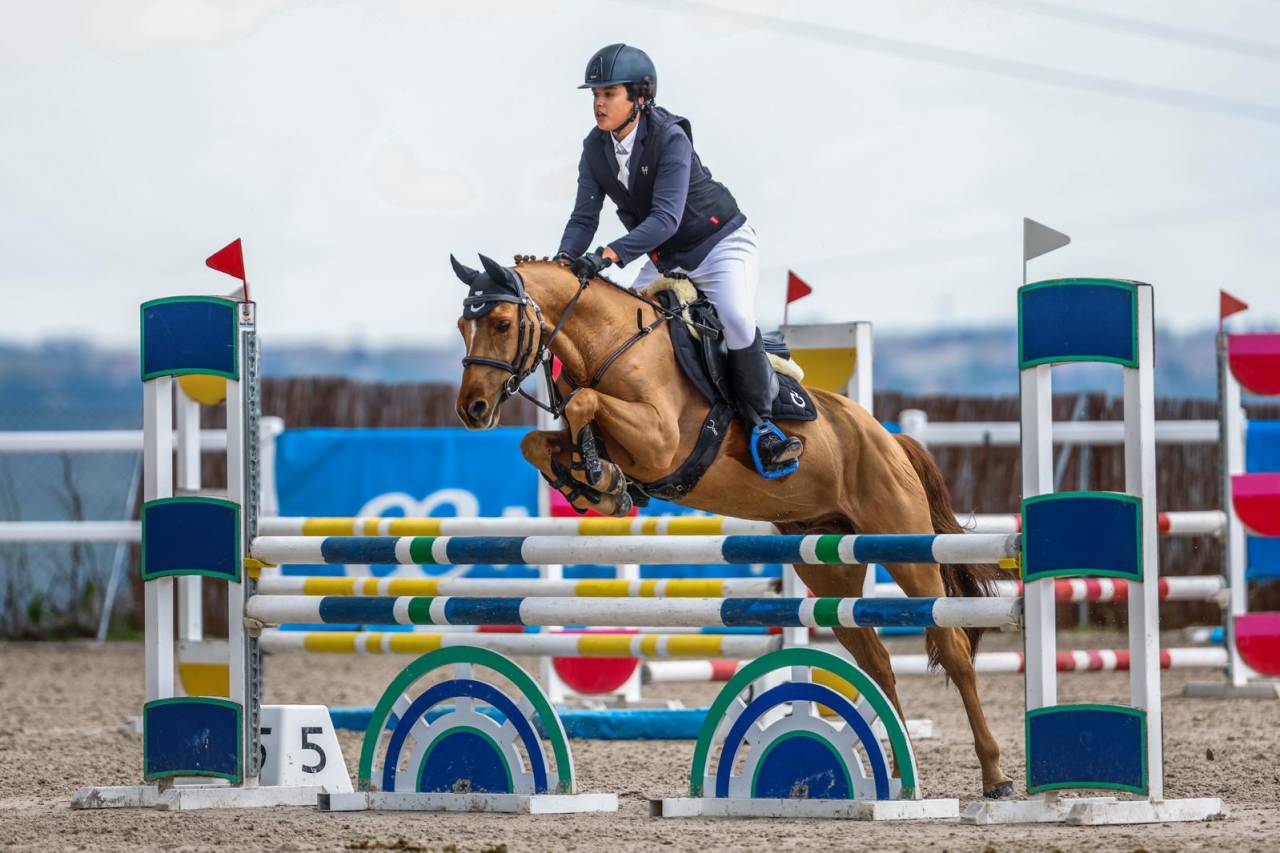 Poni C Douanier Du Buhot