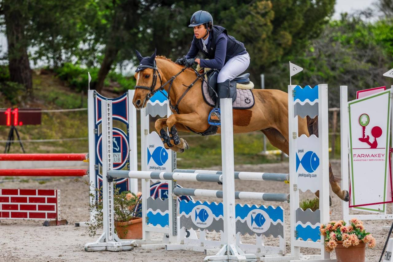 Poni C Douanier Du Buhot