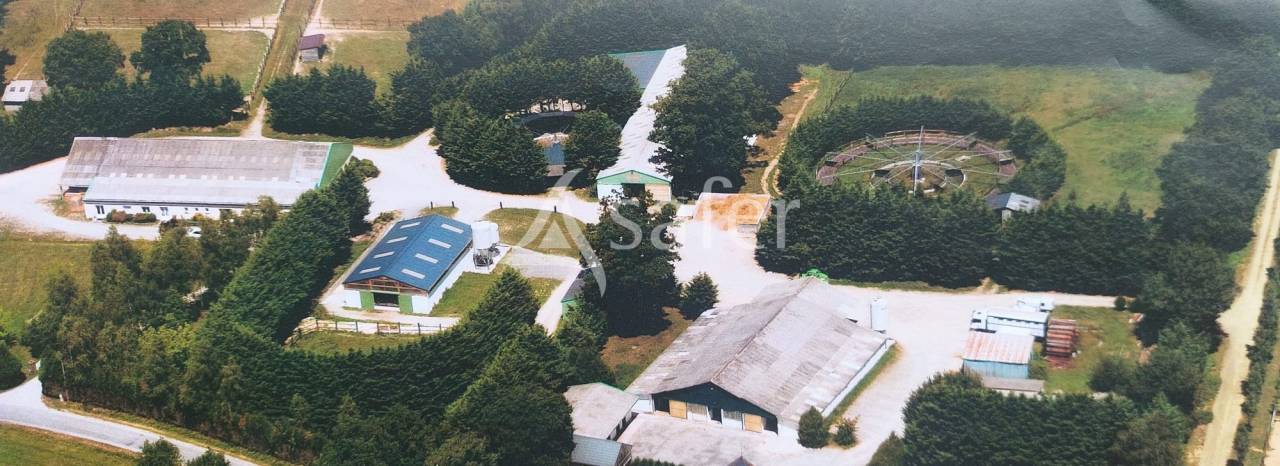 Propiedad ecuestre En venta Loira Atlántico