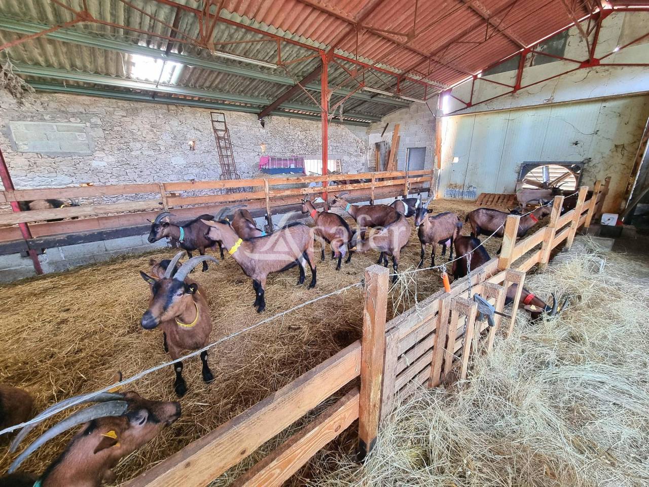 Propiedad ecuestre En venta Tarn y Garona