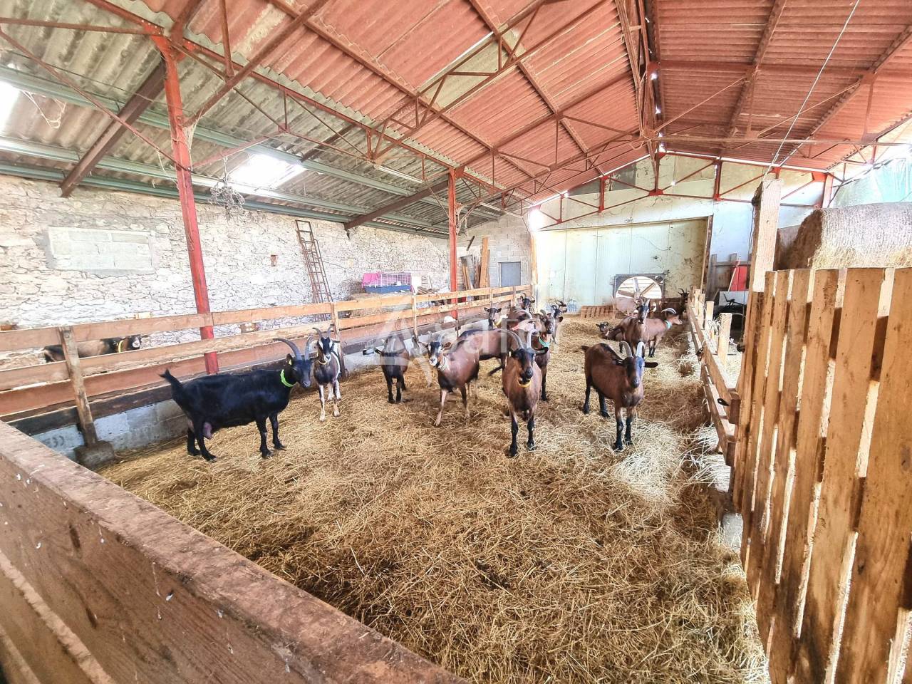 Propiedad ecuestre En venta Tarn y Garona