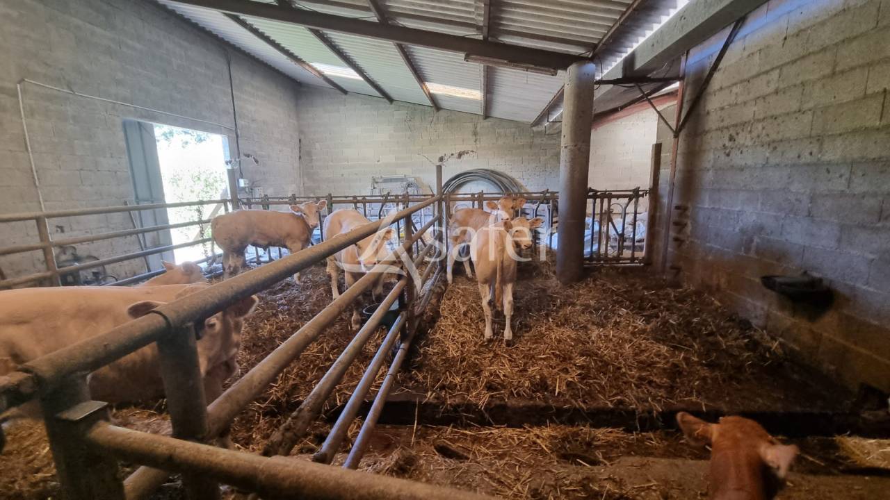 Explotación agrícola En venta Gers