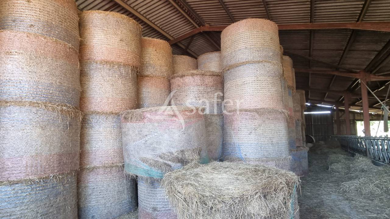 Explotación agrícola En venta Gers